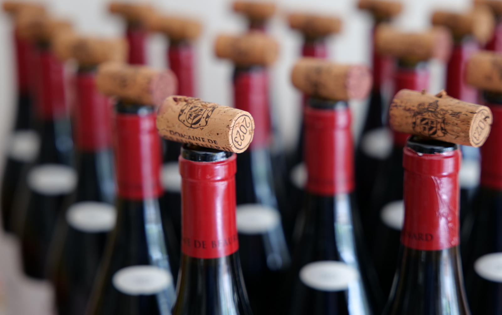 photographe Annecy mariage buffet