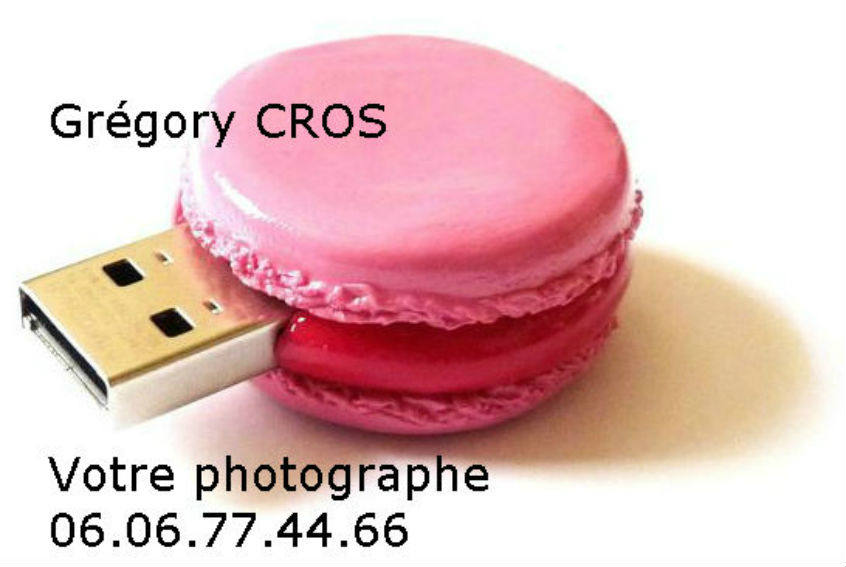 macaron gregory cros